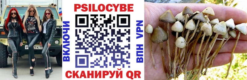 Псилоцибиновые грибы ЛСД  omg как войти  мориарти клад  Мантурово 